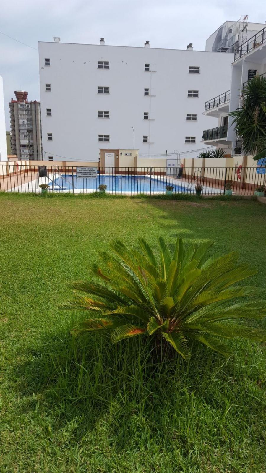 Estudiosol40 Torremolinos Exteriör bild